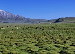 Výstup na jeden z mongolských úlů - Cambagarav