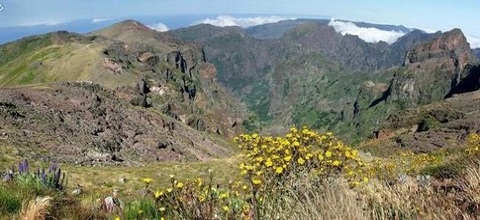 Hřebenovka na ostrově Madeira