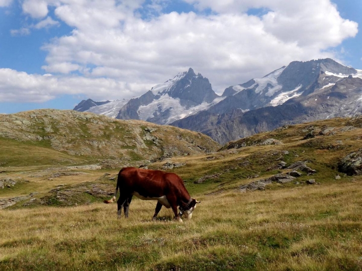 Mirka Valášková, Francouzské Alpy