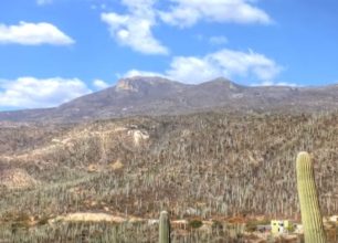 Kaktusové hory v Mexiku spadající pod UNESCO